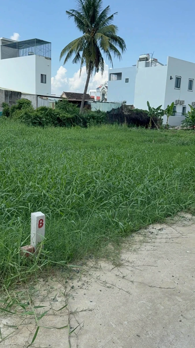 Bán đất ở 95,4m² gần 100m² Diên An 1,86 tỷ - Ảnh thu nhỏ 5