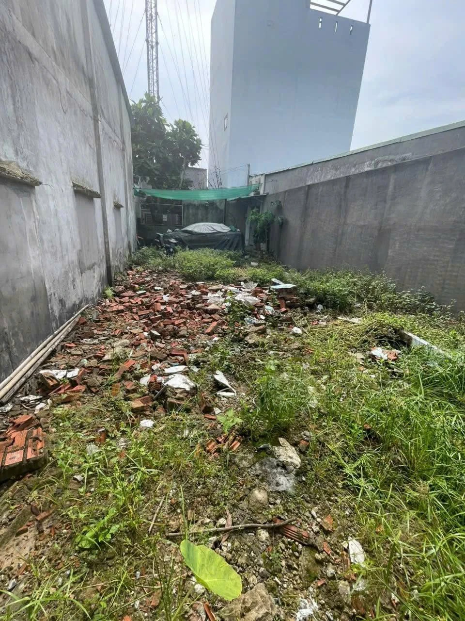 Bán đất hẻm xe hơi Võ Văn Hát 86m² ngang 6.5m - 3,95 tỷ - Ảnh 1