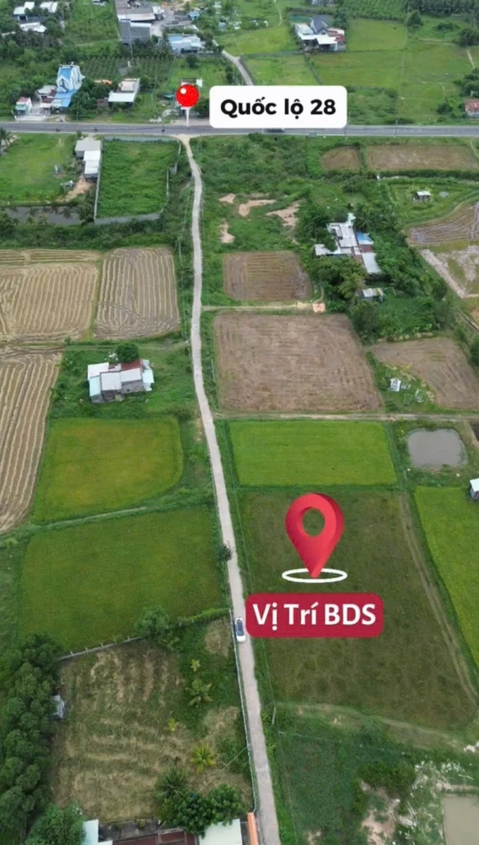Bán lô đất thổ cư 100m² Bình An, Hàm Chính, Bình Thuận - Ảnh thu nhỏ 2