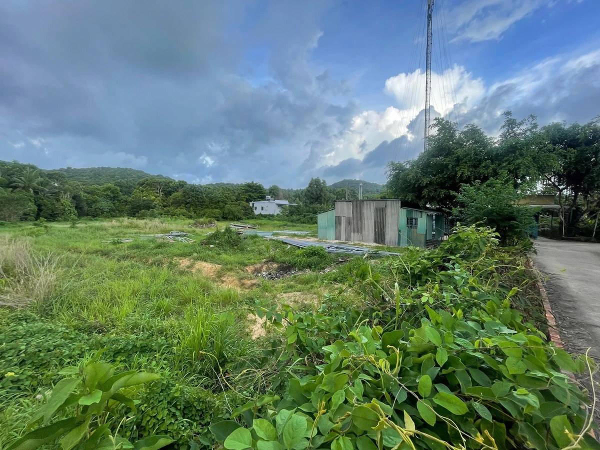Bán 2 nền đất 500m² đường Nguyễn Văn Cừ, Dương Tơ - Ảnh thu nhỏ 5