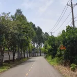 Bán đất 1000m² giáp ranh Bảo Vinh, Long Khánh, view núi - Ảnh thu nhỏ 3