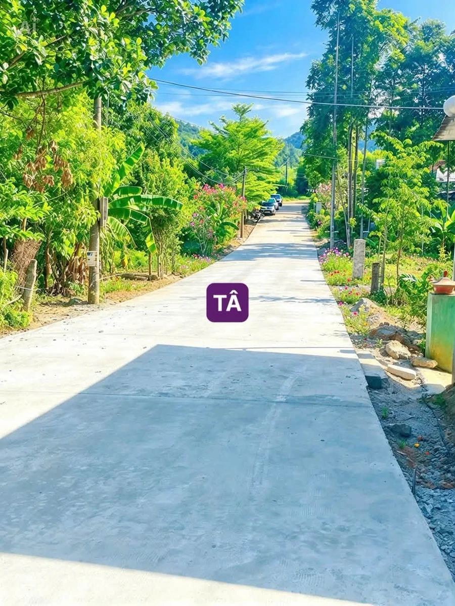 Bán đất 315m² mặt tiền 10m Phố Núi Bình Điền Huế - Ảnh thu nhỏ 2
