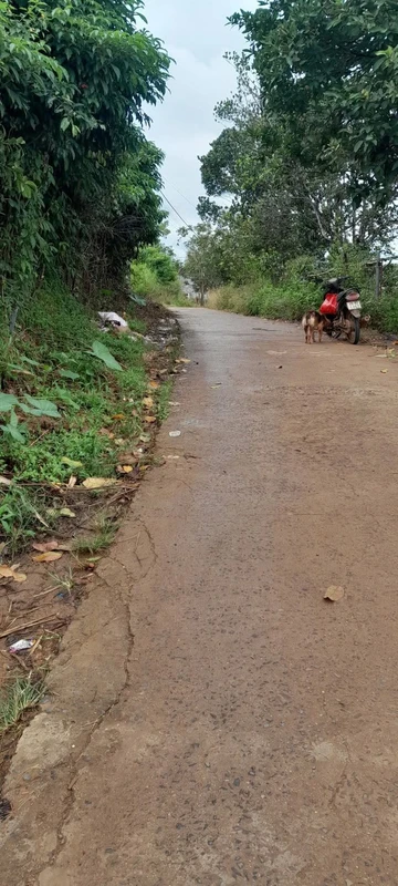 Bán đất nền mặt đường 600m² Phường Nghĩa Trung, Lâm Đồng