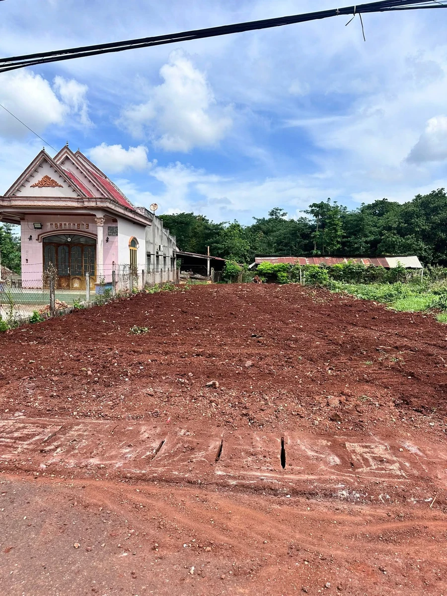 Bán đất mặt tiền tỉnh lộ 328, Tân Lâm, 330m² - Ảnh thu nhỏ 4