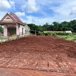 Bán đất mặt tiền tỉnh lộ 328, Tân Lâm, 330m² - Ảnh thu nhỏ 4