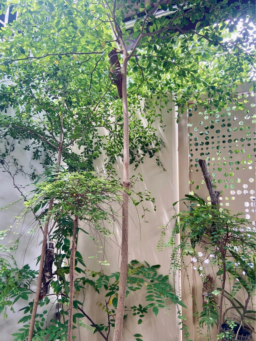 Bán nhà nguyên căn 2PN 100m² Đà Nẵng - Ảnh thu nhỏ 2