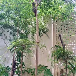 Bán nhà nguyên căn 2PN 100m² Đà Nẵng - Ảnh thu nhỏ 2