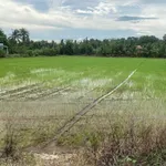 Bán đất 3.911m² Long An/Tây Ninh, sát cao tốc TP.HCM - Trung Lương - Ảnh thu nhỏ 3
