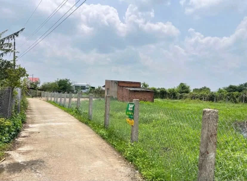 Bán đất vườn 1.160m2 tại Hàm Liêm, Hà Nội, giá 1,8 tỷ - Ảnh thu nhỏ 2