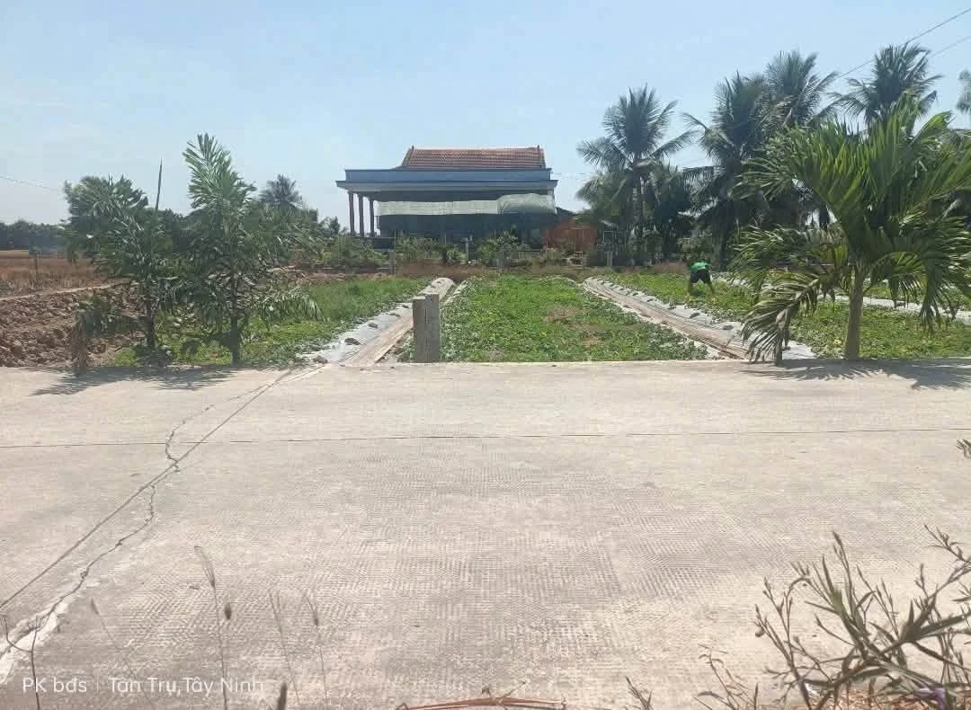 Bán đất Tân Trụ 140m² mặt tiền 589 triệu - Ảnh thu nhỏ 2