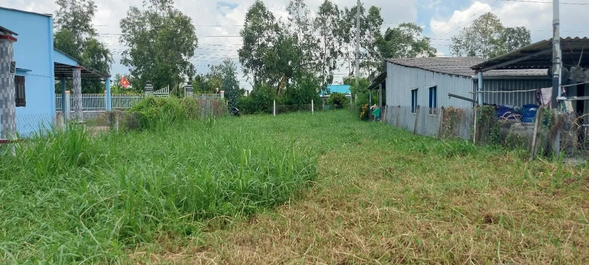 Bán 540m2 đất thổ cư mặt tiền Tăng Hòa Gò Công Đông 1 tỷ 250 triệu - Ảnh thu nhỏ 4