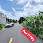 Bán đất 360m2 có 200m2 thổ cư Đất Đỏ giá 2 tỷ 1 - Ảnh thu nhỏ 5