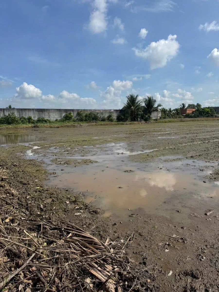 Bán 1.000m² đất Thanh Phú, Bến Lức, Long An 4,8 tỷ - Ảnh thu nhỏ 3