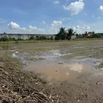 Bán 1.000m² đất Thanh Phú, Bến Lức, Long An 4,8 tỷ - Ảnh thu nhỏ 3