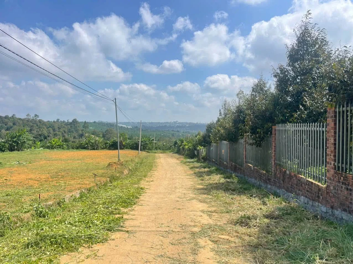 Bán lô đất 133m² view núi và TP Bảo Lộc, Lâm Đồng - Ảnh thu nhỏ 3