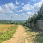 Bán lô đất 133m² view núi và TP Bảo Lộc, Lâm Đồng - Ảnh thu nhỏ 3