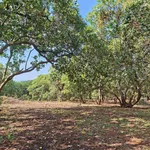 Bán 3,7 hectare đất nông nghiệp gần Đức Hạnh, Bình Dương - Ảnh thu nhỏ 2