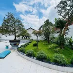 Bán nhà vườn mái Nhật 650m2, 4PN, 6.5 tỷ, Đức Hoà - Ảnh thu nhỏ 3