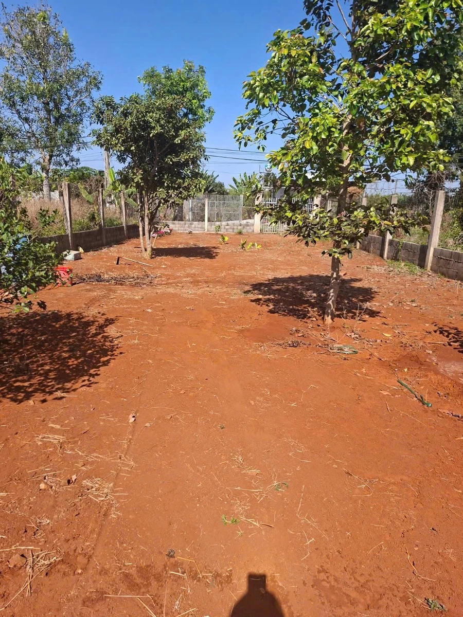 Bán đất biệt thự mặt tiền Đường số 45, 553m2, TP Bà Rịa - Ảnh thu nhỏ 4