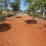 Bán đất biệt thự mặt tiền Đường số 45, 553m2, TP Bà Rịa - Ảnh thu nhỏ 4
