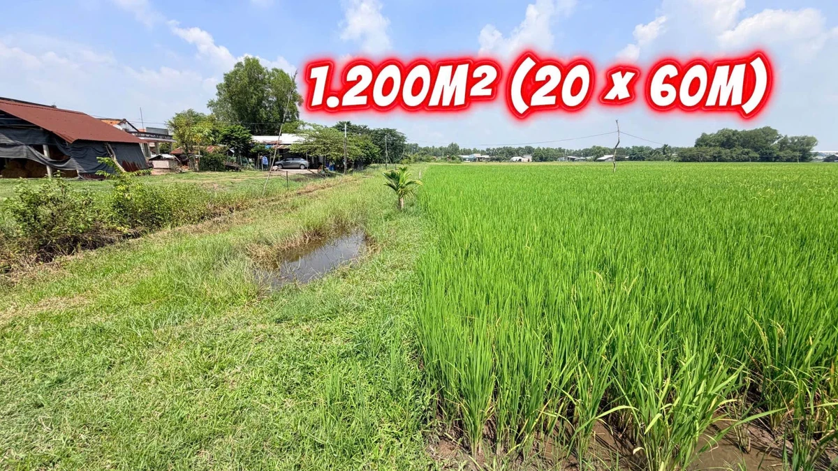 Bán đất Mỹ Hạnh Đức Hòa 1.260m² 1,5 tỷ - Ảnh thu nhỏ 2