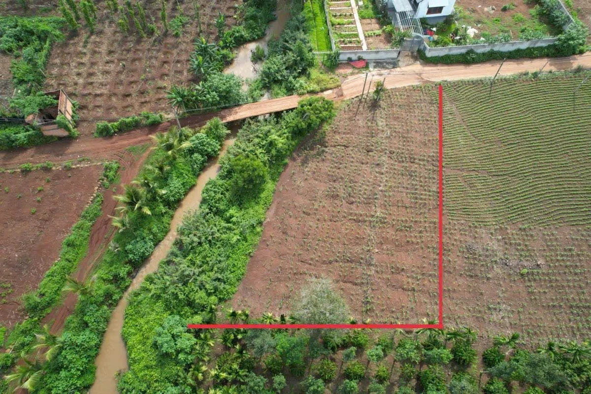 Bán đất sào view suối, 25x40m có 90m² thổ cư, xã Ea Tiêu, Đắk Lắk, giá 1,84 tỷ - Ảnh thu nhỏ 4