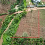 Bán đất sào view suối, 25x40m có 90m² thổ cư, xã Ea Tiêu, Đắk Lắk, giá 1,84 tỷ - Ảnh thu nhỏ 4