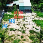 Bán đất Giồng Cà Tây Ninh 140m² 199 triệu - Ảnh thu nhỏ 1
