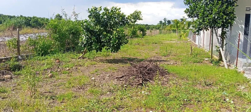 Bán đất 500m² Bảo Vinh Long Khánh Đồng Nai 390 triệu