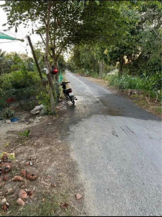 Chính chủ bán đất Ô Long Vĩ - Châu Phú, An Giang - Ảnh thu nhỏ 3