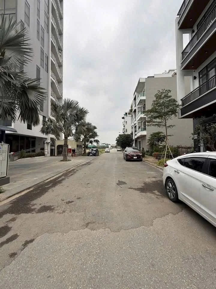 Bán đất đô thị Vịt Cỏ Hồ Sen 65,73m² Hải Dương 3 tỷ 480 triệu - Ảnh 1