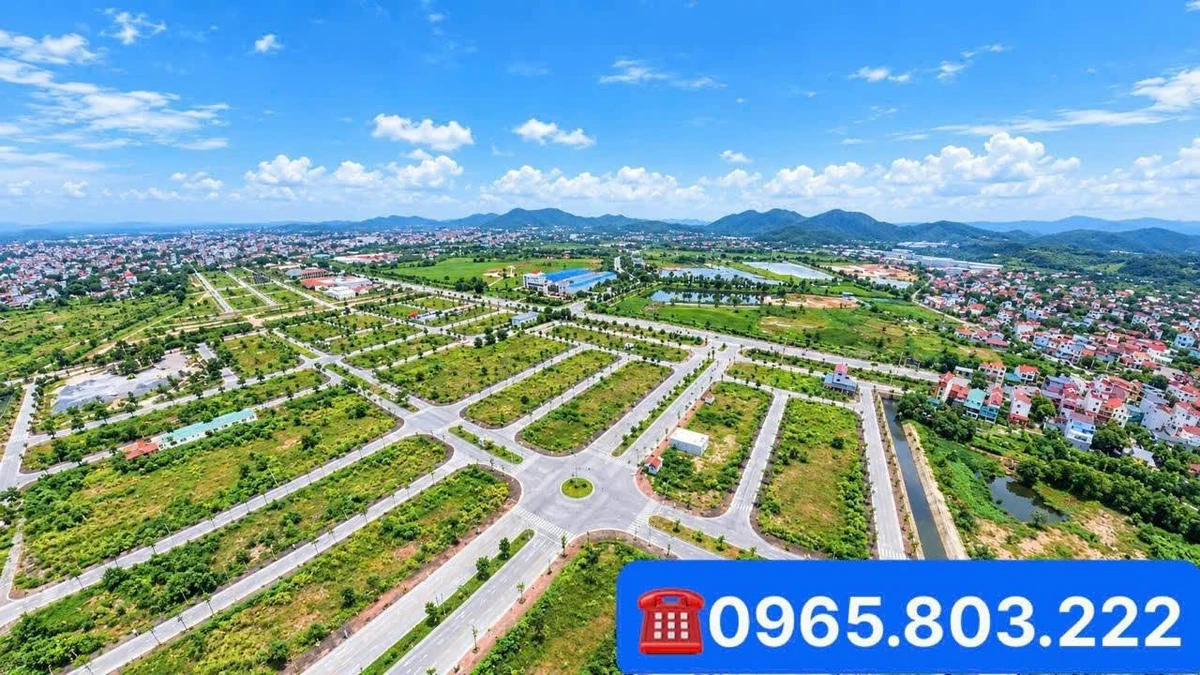 Bán đất 78,7m² mặt tiền chợ Thành Đông Chí Linh 1 tỷ 4 - Ảnh thu nhỏ 5
