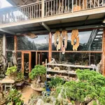 Bán đất mặt tiền Đankia 223m², Đà Lạt, 11 tỷ - Ảnh thu nhỏ 3