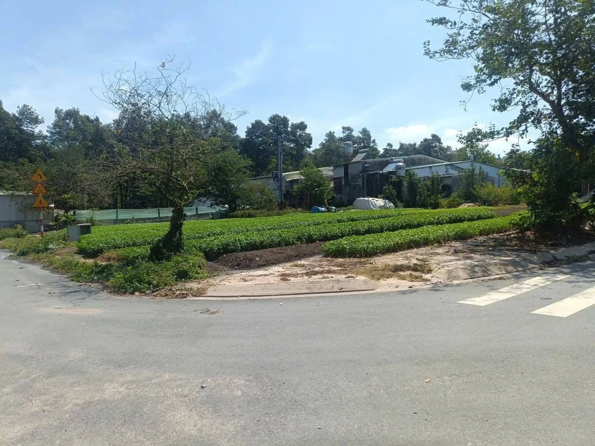 Bán lô đất góc 2 mặt tiền 97m² Tân Biên Hóc Môn 2,59 tỷ - Ảnh thu nhỏ 2