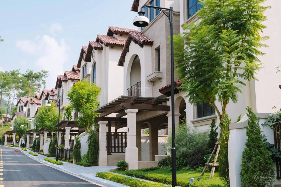 Hoa hậu đơn lập phân khu Valley Park hơn 400m2 sẵn nhà bàn giao ngay chỉ việc về ở - Ảnh 1