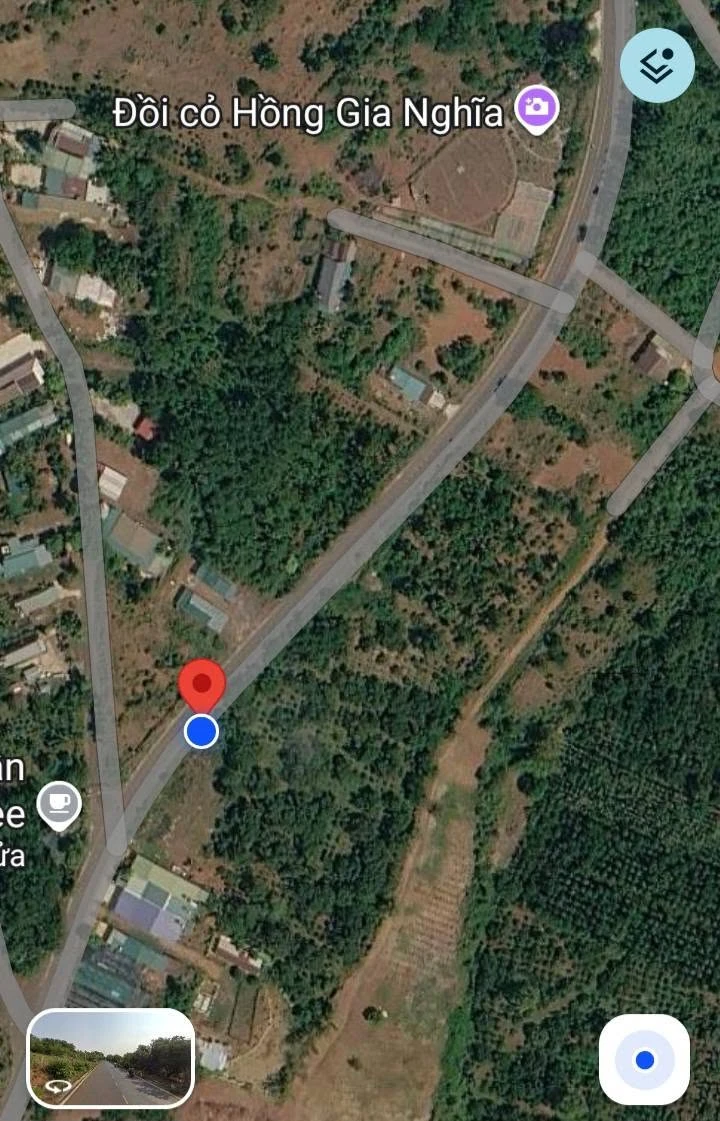 Bán đất 10.000m² gần trung tâm Gia Nghĩa, Lâm Đồng 4,6 tỷ - Ảnh thu nhỏ 2