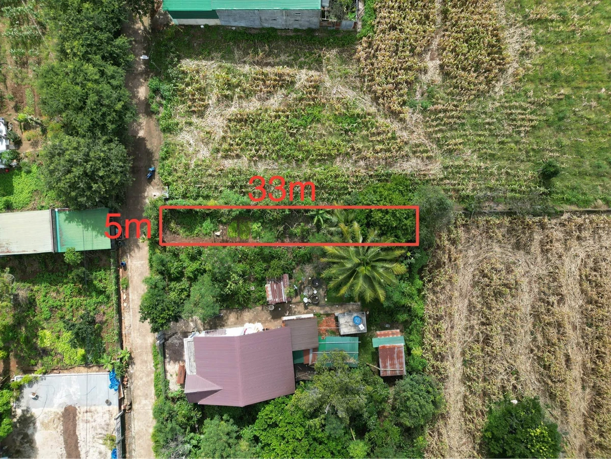 Bán đất Bình Chánh, 5x33m (165m²), 790 triệu - Ảnh thu nhỏ 4