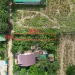 Bán đất Bình Chánh, 5x33m (165m²), 790 triệu - Ảnh thu nhỏ 4