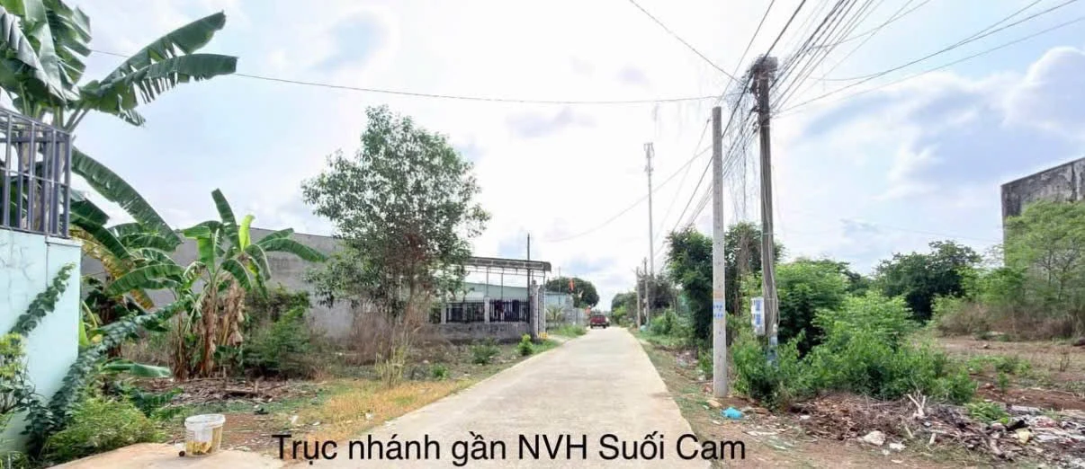 Bán đất xây nhà vườn 300 m² Suối Cam, Đồng Xoài - Ảnh 1