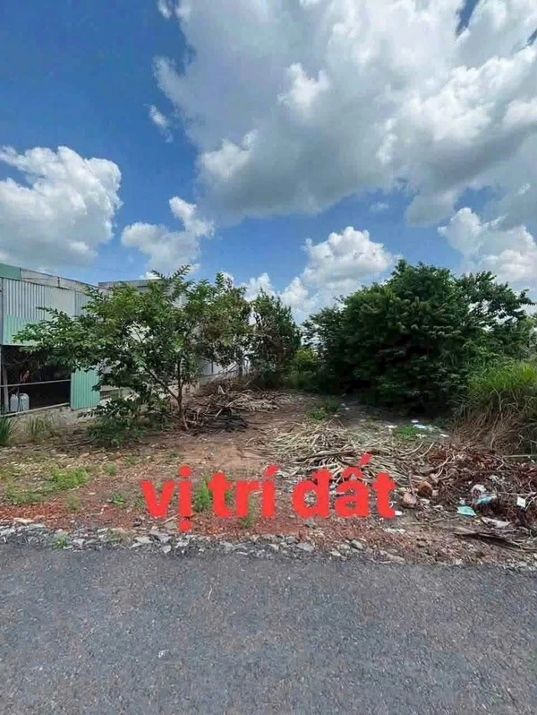 Bán đất mặt tiền đường nhựa 10x32,7m, thổ cư 60m2, xã Tân Phú, Tân Châu, Tây Ninh