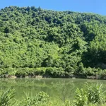 Bán đất 35.214m² Eco Farm Hoà Bắc Đà Nẵng 18 tỷ 300 - Ảnh thu nhỏ 3