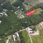 Bán đất 4.700m2 view suối làm nhà vườn tại Bình Dương - Ảnh thu nhỏ 3