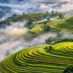 Chuyển nhượng 769m2 trung tâm SaPa. Sẵn 120m2 thổ cư. Giá 18 tỷ - Ảnh thu nhỏ 5