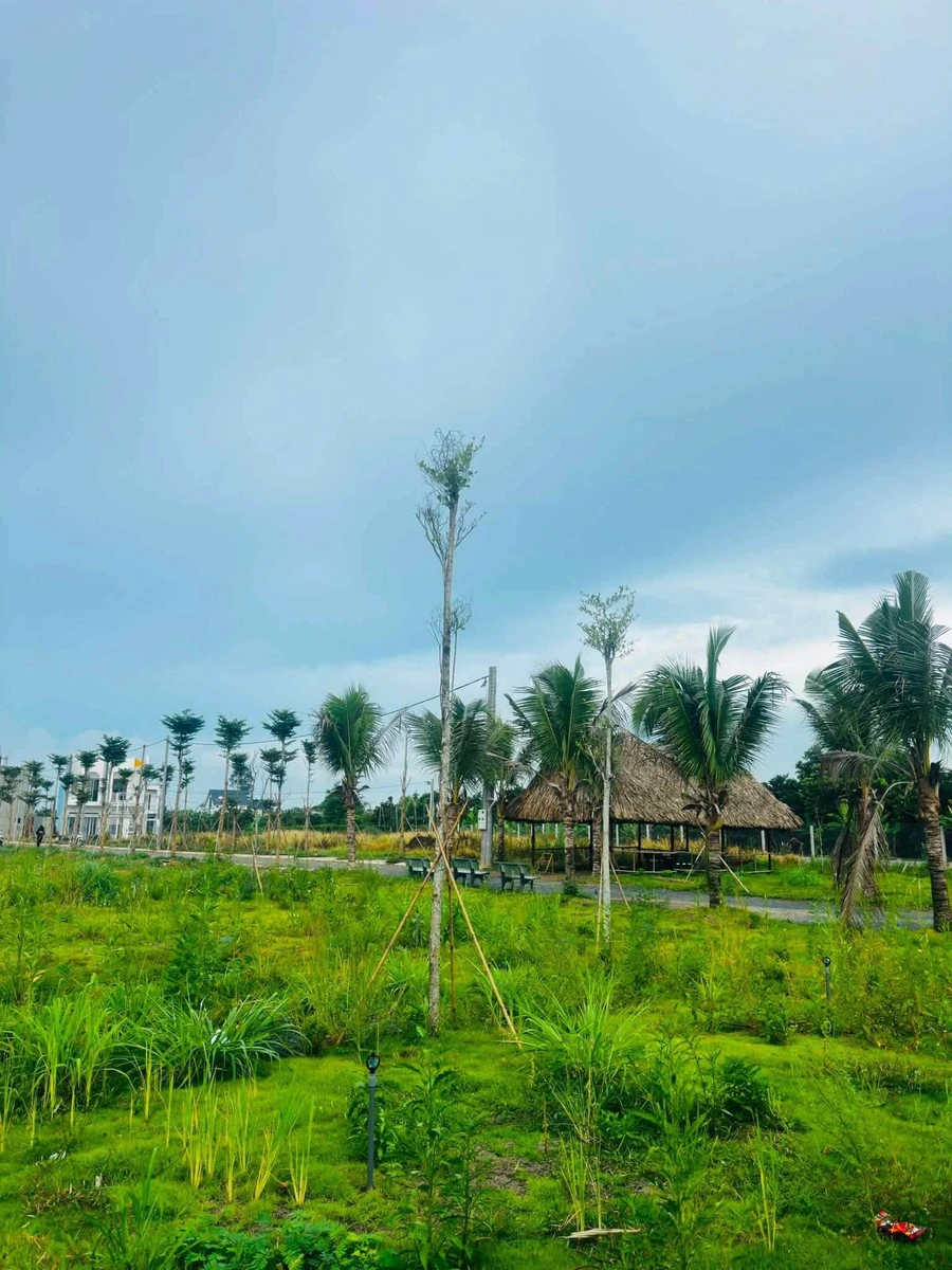 Bán đất 80m2 Tân Triều 900 triệu - Ảnh thu nhỏ 4