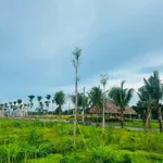 Bán đất 80m2 Tân Triều 900 triệu - Ảnh thu nhỏ 4