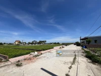 Bán gấp đất biển Quất Lâm Nam Định cách bãi tắm 100m, đường ôtô tránh cạnh khu du lịch giá 1.x tỷ - Ảnh thu nhỏ 5