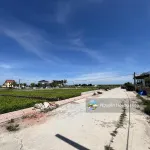 Bán gấp đất biển Quất Lâm Nam Định cách bãi tắm 100m, đường ôtô tránh cạnh khu du lịch giá 1.x tỷ - Ảnh thu nhỏ 5
