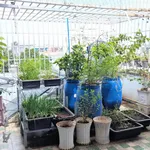 Nhà bán 88m2, 1 trệt 1 lầu, Phường 10 Vũng Tàu, 5.55 tỷ - Ảnh thu nhỏ 3