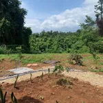 Bán nhà vườn 1609m2 Ea Nuôl Đắk Lắk - Ảnh thu nhỏ 3