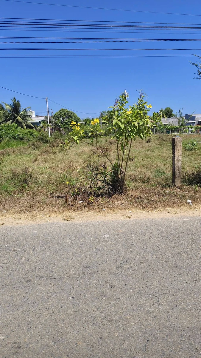 Bán lô đất thổ cư mặt tiền Hàm Liêm 186,5m² giá 650 triệu - Ảnh thu nhỏ 2